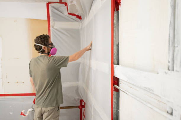 Best Mold Remediation for Vacation Homes  in Sparta, IL