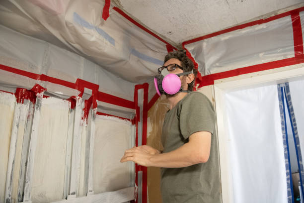 Best Mold Damage Restoration  in Sparta, IL