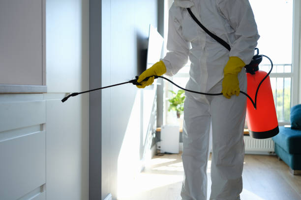 Best Mold Prevention Services  in Sparta, IL